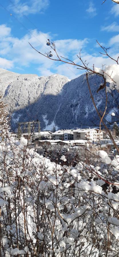 Haus Bergfriede Hotell Mayrhofen Eksteriør bilde